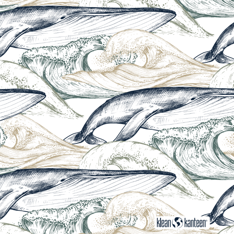 20oz-tkwide-with-twist-cap-ocean-day-s5 20oz_tkwide_bottle_seasonal_ocean_day_whale_artwork_square.png