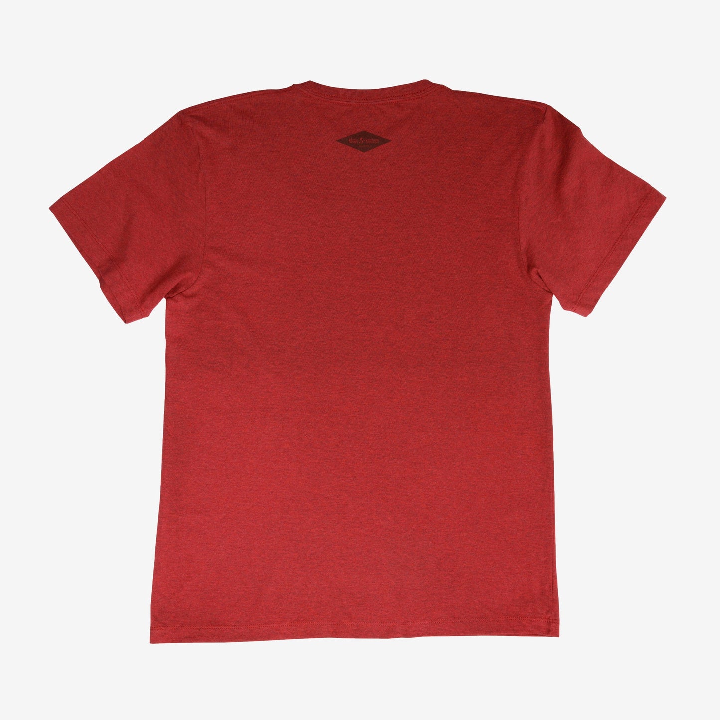 backyard-t-shirt-a4 Shirt_Mtn_Back.jpg